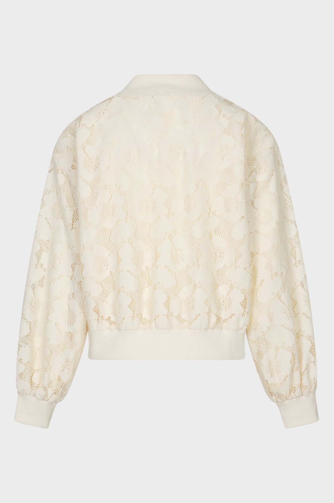 AMAYA AMSTERDAM MEADOW Bomber,  beige