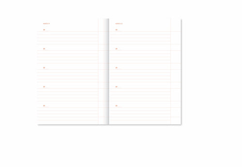 A-JOURNAL ONE LINE A DAY Notizbuch, pink/ rot