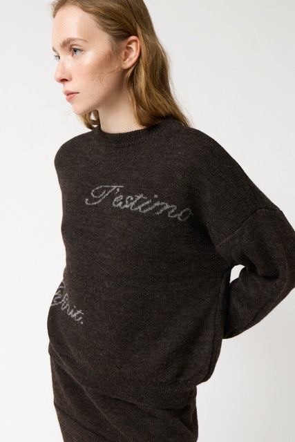 AMT.STUDIO CRYSTAL TESTIMO Pullover, braun