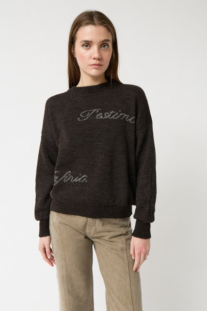 AMT.STUDIO CRYSTAL TESTIMO Pullover, braun