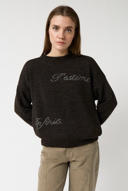 AMT.STUDIO CRYSTAL TESTIMO Pullover, braun