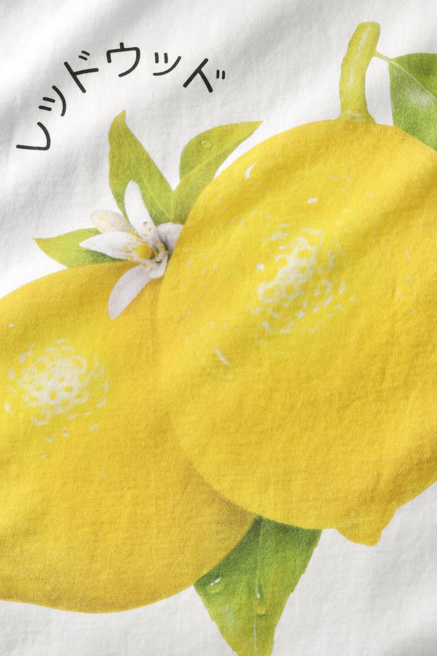 ROTHOLZ LEMON T-Shirt, weiß